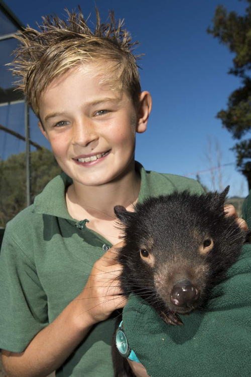 Wombat and Boy
